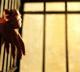 Presentación Boletín 24